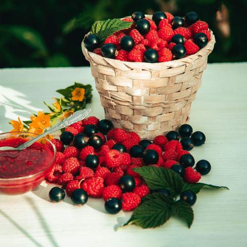 Photo #9820804