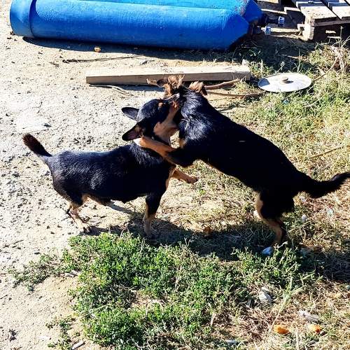 Photo #9820890