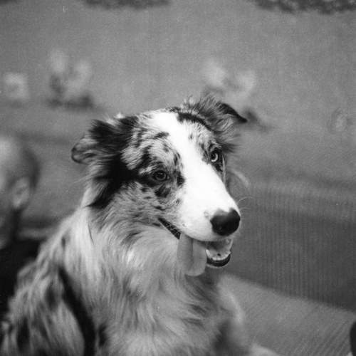 Photo #9821127