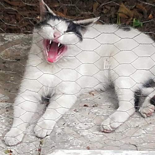 Photo #9821210