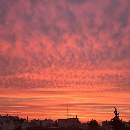 Photo #9821599