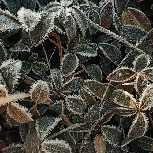 Photo #9821660