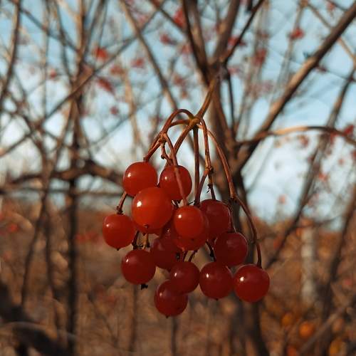 Photo #9821685