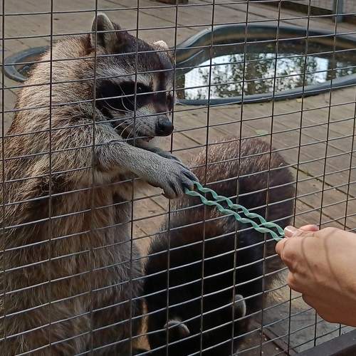 Photo #9821773