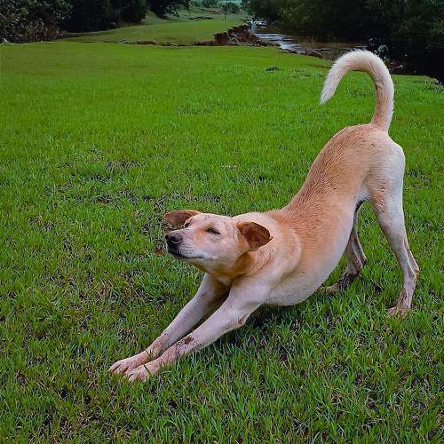 Photo #9821955