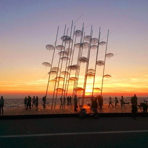 Photo #9822025