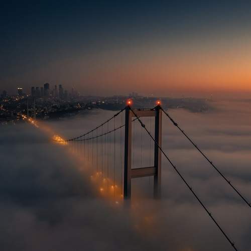 Photo #9822307