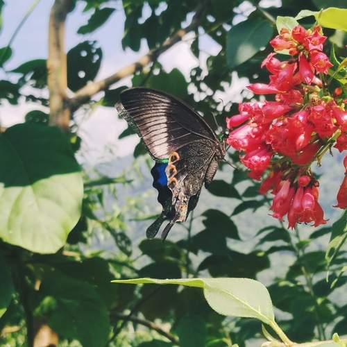 Photo #9822489