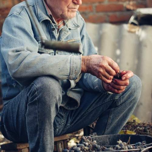 Photo #9822499