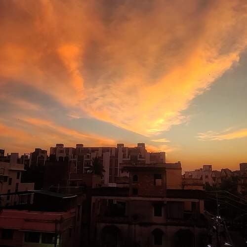 Photo #9823366