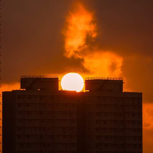Photo #9823445