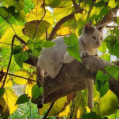 Photo #9823466