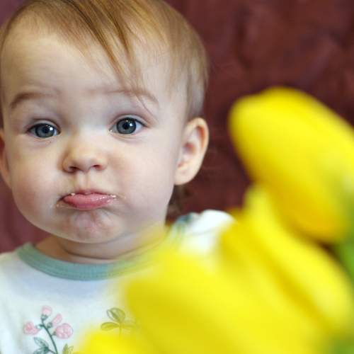 Photo #9823667