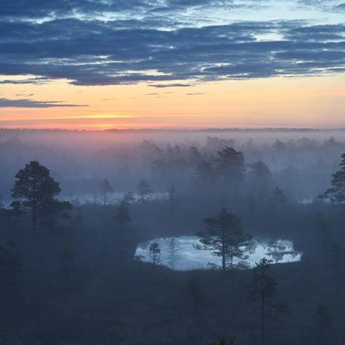 Photo #9823734