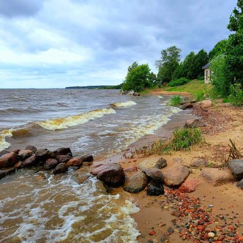 Photo #9823888