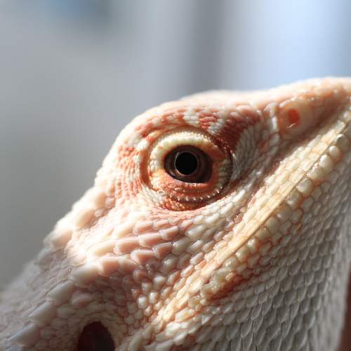 Photo #9823960