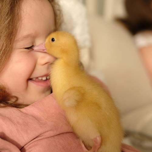 Photo #9823974