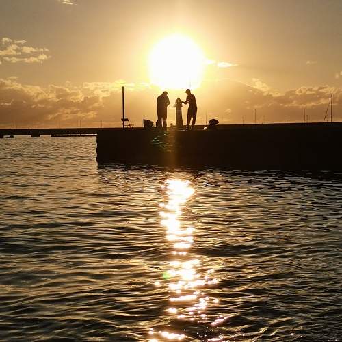 Photo #9824101