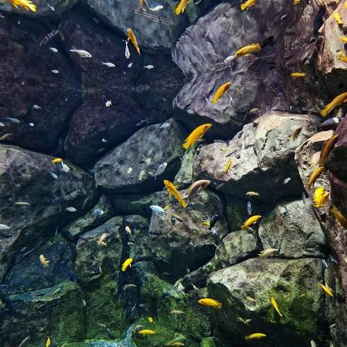 Photo #9824141