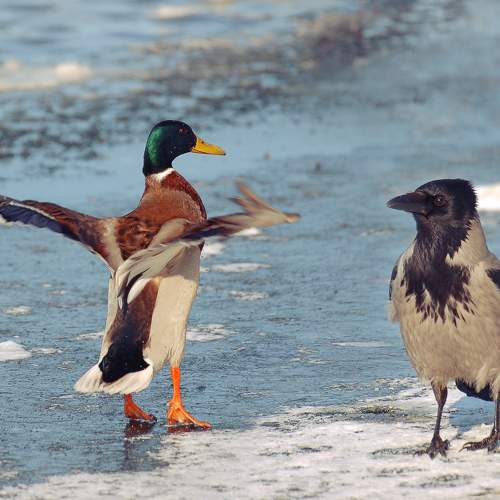 Photo #9824231