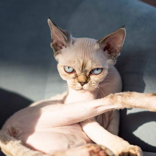 Photo #9825006