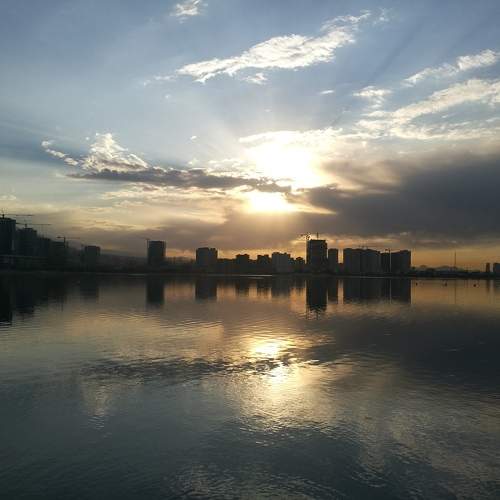 Photo #9825355