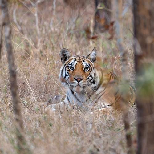 Photo #9825488