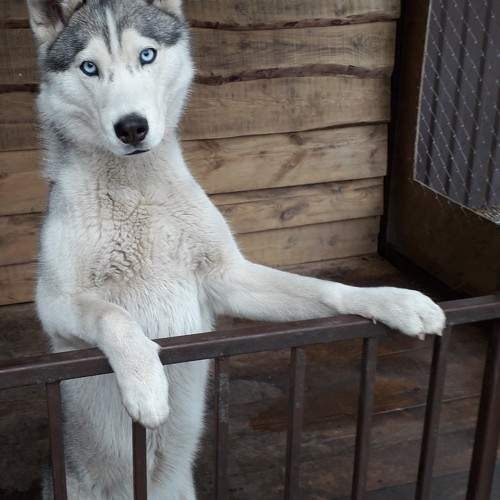 Photo #9826387