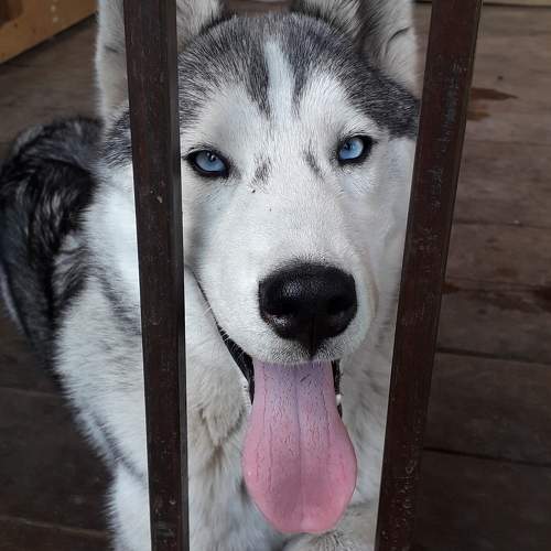 Photo #9826400