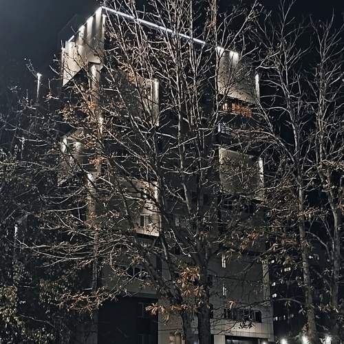 Photo #9826477