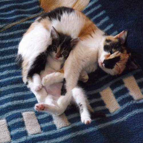 Photo #9826951