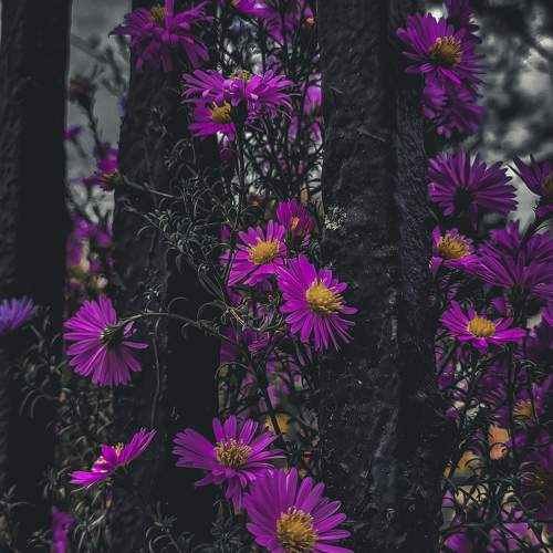 Photo #9827140