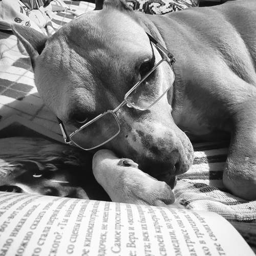 Photo #9827261