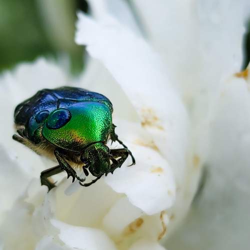 Photo #9827509