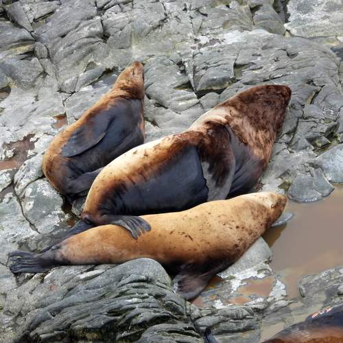 Photo #9827971