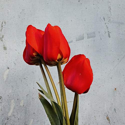Photo #9828267