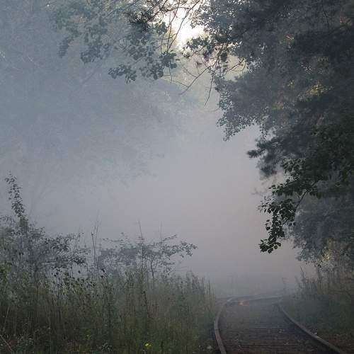 Photo #9828340