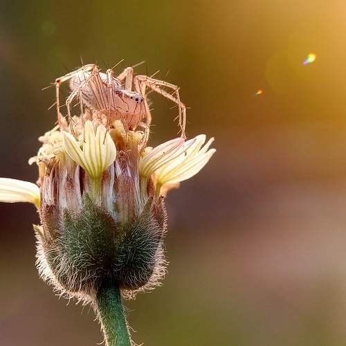 Photo #9828346