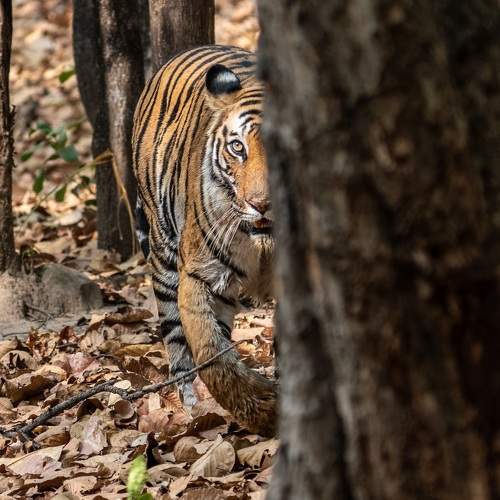 Photo #9828392