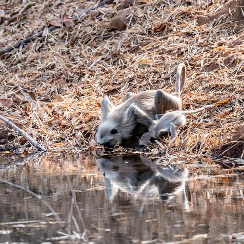 Photo #9828407