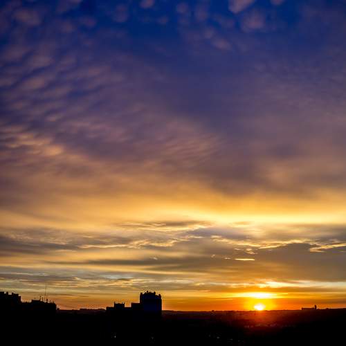Photo #9828560