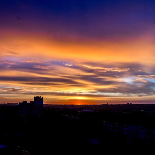 Photo #9828564