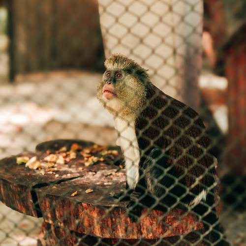 Photo #9829204