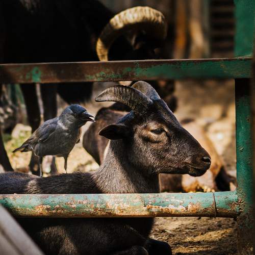 Photo #9829207