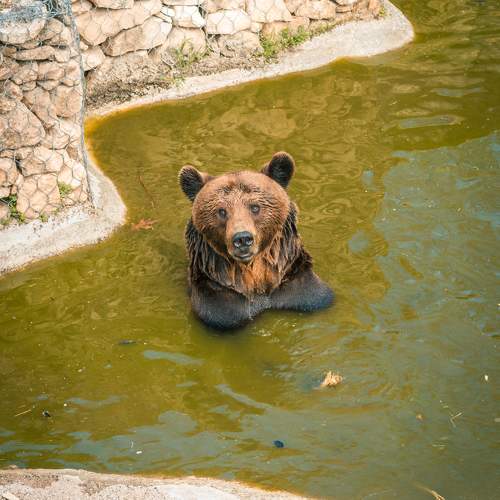 Photo #9829233