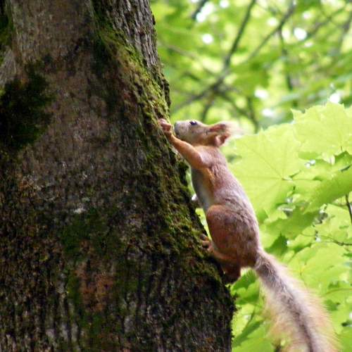 Photo #9829625