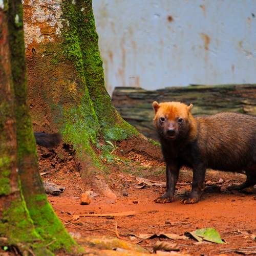 Photo #9829634