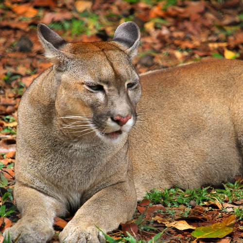 Photo #9829644