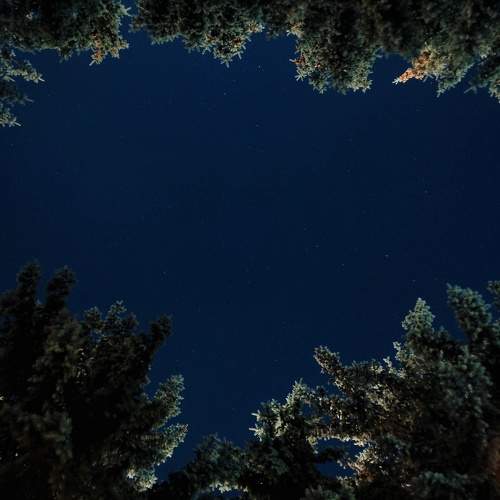 Photo #9829657