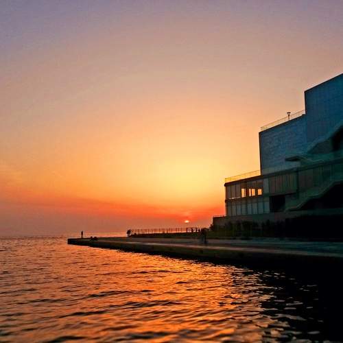 Photo #9829753